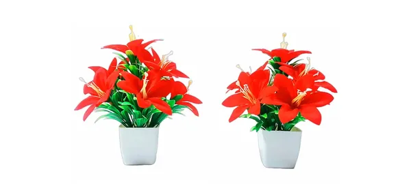 Multicolour_Afq_Artificial_Moon_Flowers_For_Home/Office/Table/Bathroom/Greenery_Room/Computer_Table/Study_Room/_Decoration_Artificial_Plant_Flowers_&_Pot_With_(2_Piece)