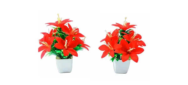 Multicolour_Afq_Artificial_Moon_Flowers_For_Home/Office/Table/Bathroom/Greenery_Room/Computer_Table/Study_Room/_Decoration_Artificial_Plant_Flowers_&_Pot_With_(2_Piece)
