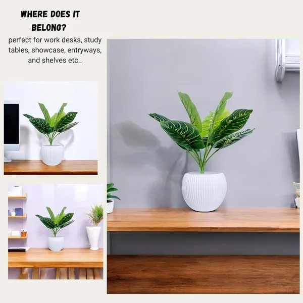 Multicolour_Artificial_Plants_With_Pot_Home_Decoration_Items_For_Living_Room_Small_Silk_Rubber_Plant_For_Home_Decor_12_Cm_X_30_Cm_Perfect_For_Office_Desk_Bedroom_Bathroom_&_Farmhouse