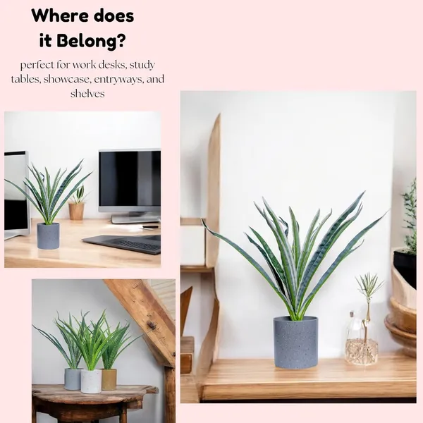 Multicolour_Artificial_Plants_For_Decoration_Realistic_Snake_Plant_With_Pot_Indoor_Plants_For_Home_Living_Room_Bedroom_Decor_Durable_Plastic_No_Maintenance_(Set_Of_3)