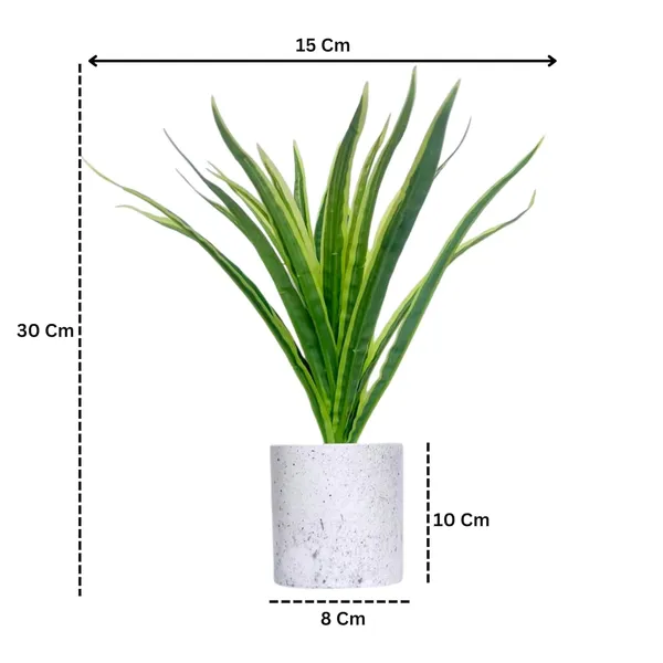 Multicolour_Artificial_Plants_For_Decoration_Realistic_Snake_Plant_With_Pot_Indoor_Plants_For_Home_Living_Room_Bedroom_Decor_Durable_Plastic_No_Maintenance_(Set_Of_3)