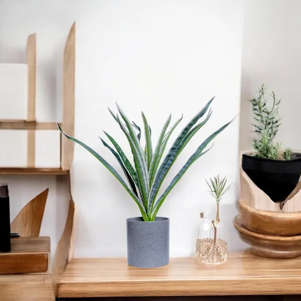 Multicolour_Artificial_Plants_For_Decoration_Realistic_Snake_Plant_With_Pot_Indoor_Plants_For_Home_Living_Room_Bedroom_Decor_Durable_Plastic_No_Maintenance_(Set_Of_3)