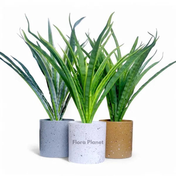 Multicolour_Artificial_Plants_For_Decoration_Realistic_Snake_Plant_With_Pot_Indoor_Plants_For_Home_Living_Room_Bedroom_Decor_Durable_Plastic_No_Maintenance_(Set_Of_3)