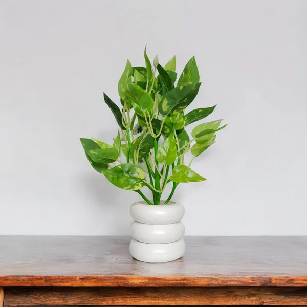 Light_Green_Potted_Indoor_Small_Artificial_Silk_Plants_Home_Decor_Items_Indoor_Plants_For_Living_Room_Artificial_Plants_For_Home_Decor_Plant_Height:_30Cm