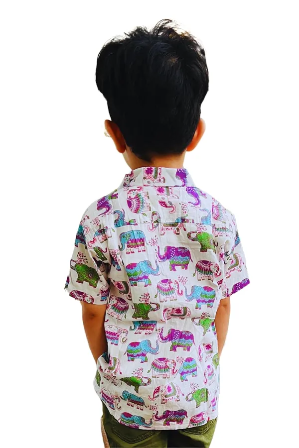 Multicolor_Pure_Cotton_Regular_Fit_Half_Sleeve_Shirt_For_Boys