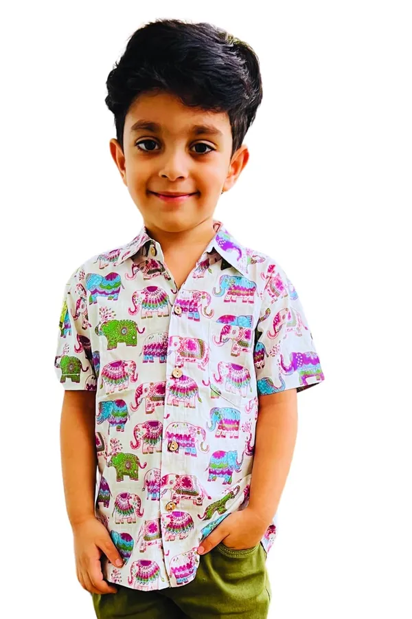 Multicolor_Pure_Cotton_Regular_Fit_Half_Sleeve_Shirt_For_Boys