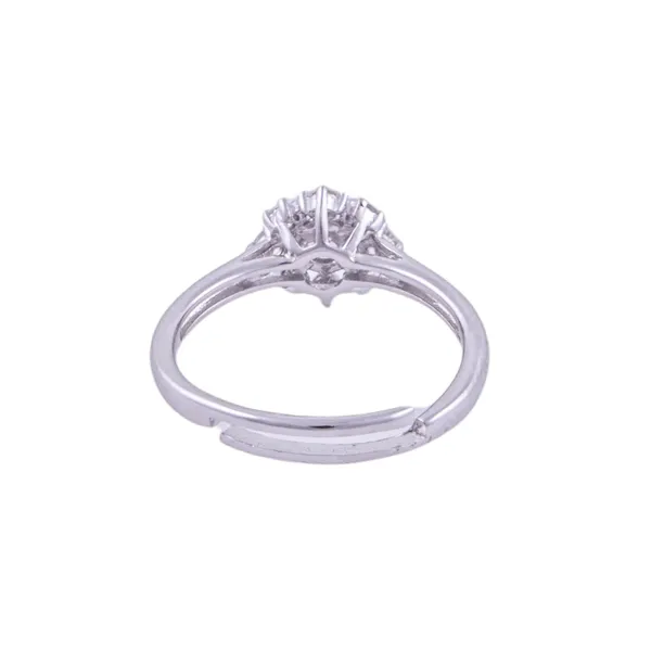 Silver_Premium_Ring_Adj_Micro_925_F