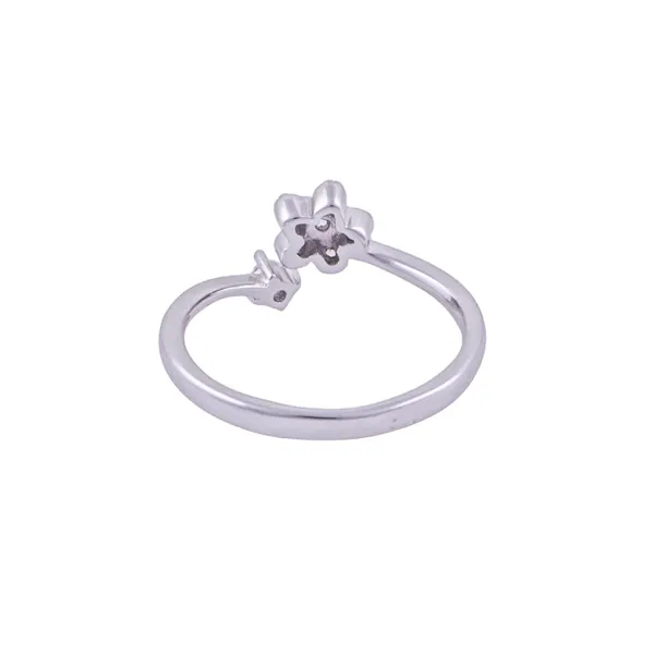 Silver_Premium_Ring_Adj_Micro_925_F
