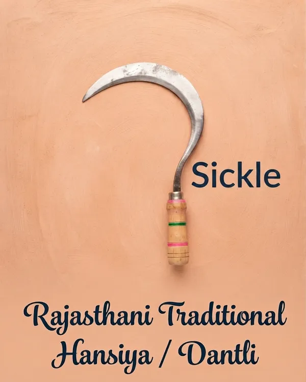 Hind's_Handmade_Traditional_Rajasthani_Hansiya_/_Dantli_|_Heavy-Duty_Agricultural_Sickle_with_Wooden_Handle_(13_Inch)