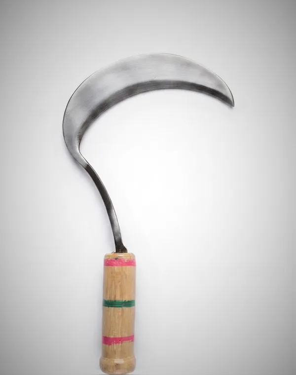Hind's_Handmade_Traditional_Rajasthani_Hansiya_/_Dantli_|_Heavy-Duty_Agricultural_Sickle_with_Wooden_Handle_(13_Inch)