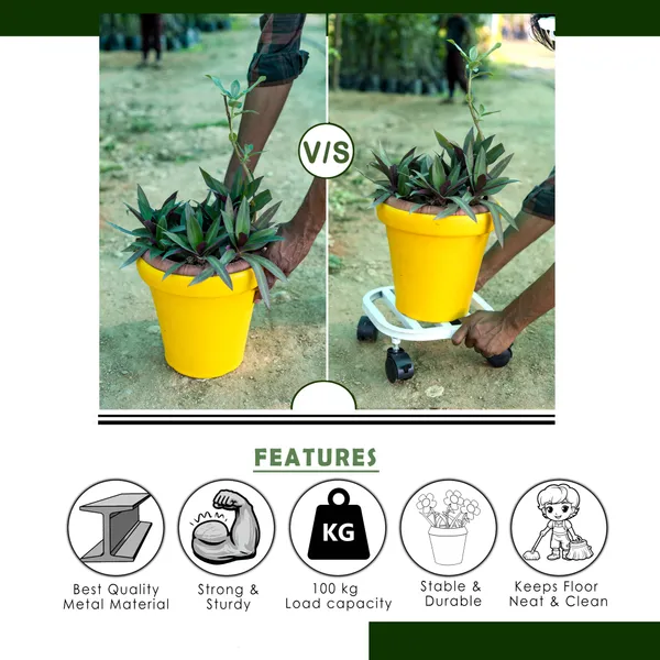 Hind's__Planter_Stand_with__Curved_Edges__Lockable_Wheels_for_Secure_Mobility_|_Load_Capacity_up_to_100kg_Rust_and_Dust_Proof_Matt_White_Finish