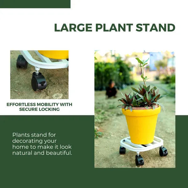 Hind's__Planter_Stand_with__Curved_Edges__Lockable_Wheels_for_Secure_Mobility_|_Load_Capacity_up_to_100kg_Rust_and_Dust_Proof_Matt_White_Finish