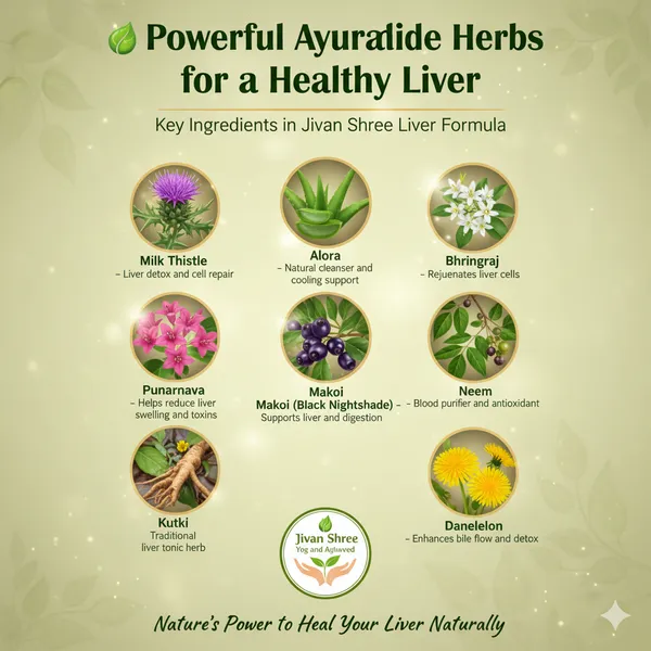 Jivan_Shree_Yog_and_Ayurved_Kidney_&_Liver_Formula_Combo_|_Ayurvedic_Detox_Supplement_for_Kidney_Stone,_Fatty_Liver_&_Toxin_Cleanse_|_Natural_Organ_Health_&_Immunity_Support_|_100%_Herbal