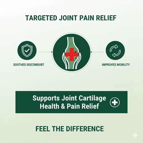 Vegetarian_Glucosamin_Chondroitin_And_Msm_Curcumin_For_Cartilage_Joint_And_Bone_(2_X_60_Tablets)