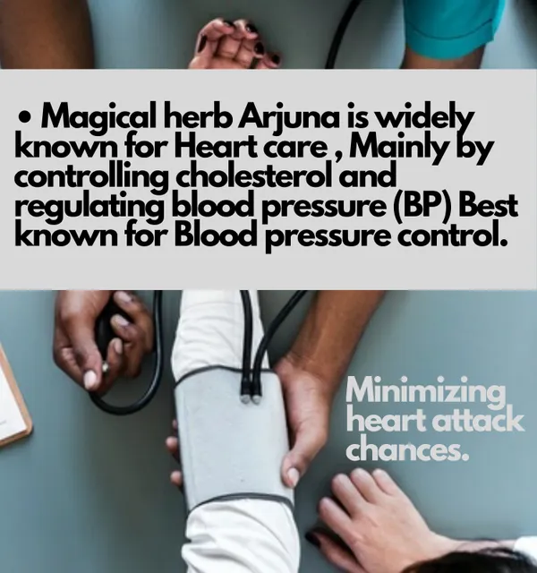 B_P_FORMULA_–_Ayurvedic_Herbal_Supplement_for_Daily_Wellness_Support