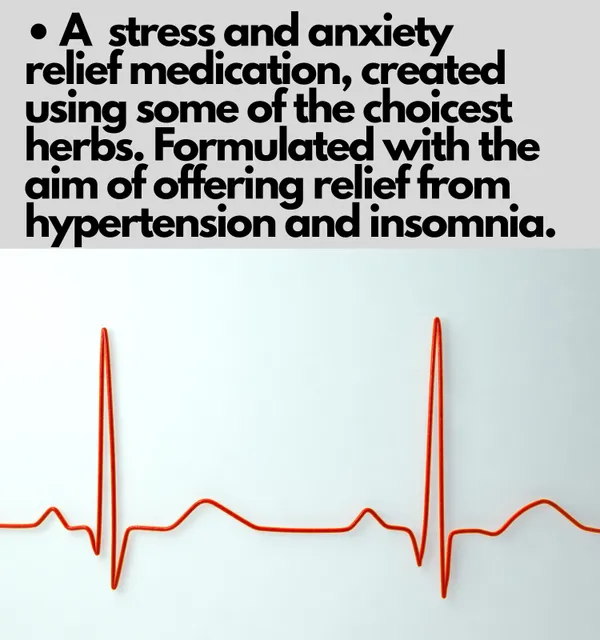B_P_FORMULA_–_Ayurvedic_Herbal_Supplement_for_Daily_Wellness_Support