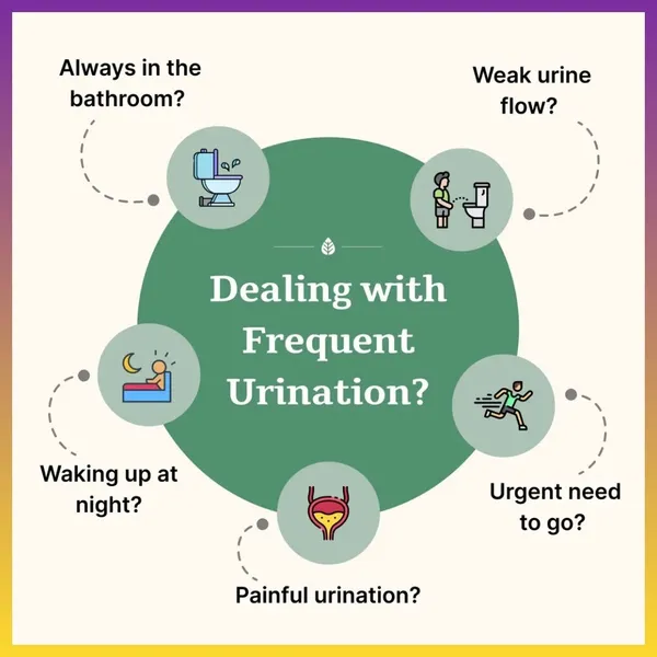 Prostate_Formula_for_Enlarged_prostate_|_Frequent_Urination,_Irritation_&_Inflammation
