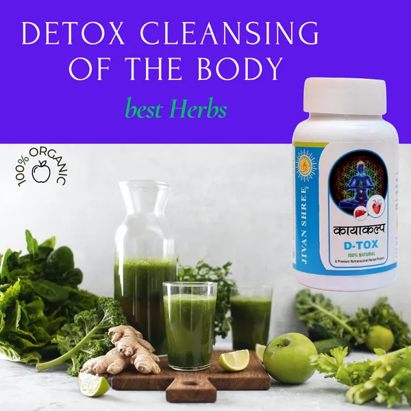 Detox_Kayakap_|_Ayurvedic_Full_Body_Detox_&_Cleanse_Formula_|_Natural_Herbal_Blend_for_Toxins_&_Immunity_Support