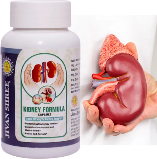Jivan_Shree_Yog_and_Ayurved_Kidney_Formula_A_Premium_quality_Advance_Ayurvedic_Cleanse_Regenerate_Kidney_Medicine_Herbal_Extracted_Vegetarian_60_Tablets.