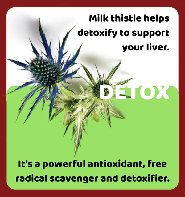 Liver_Formula_–Powerful_Ayurvedic_Ingredients_for_Complete_Liver_Cleanse_and_Repair