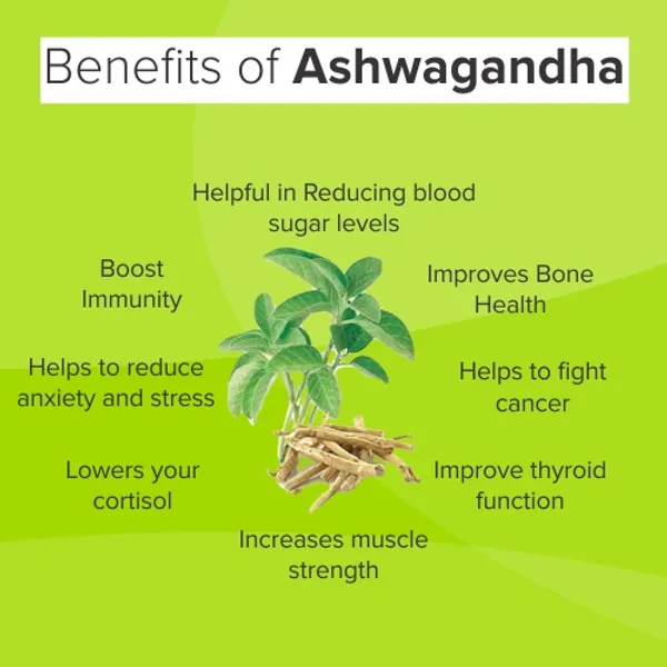Jivan_Shree_Yog_and_Ayurved_Smart_Curcumin_–_Advanced_Herbal_Anti-Inflammatory_&_Immunity_Support_Formula