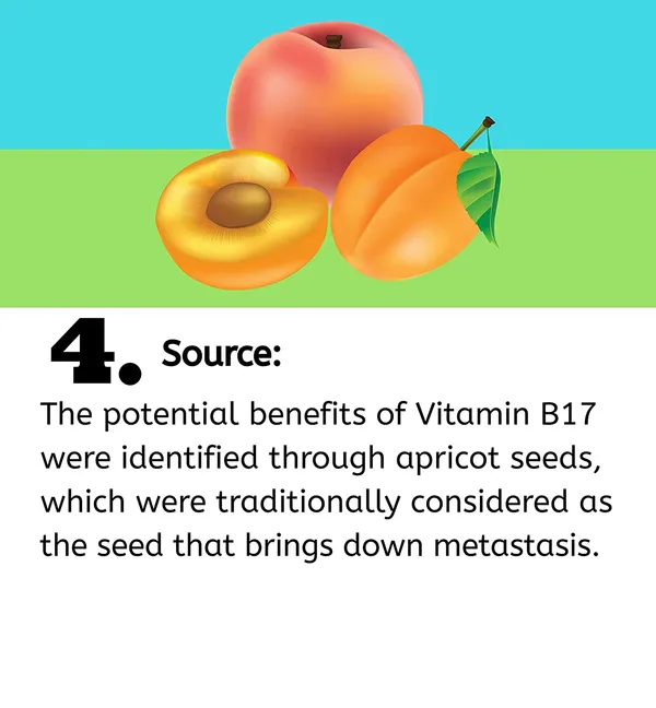 Vitamin_B17_|_Herbal_Extract_Formula_|_Natural_Wellness_&_Immunity_Support_|_Cancer_Care