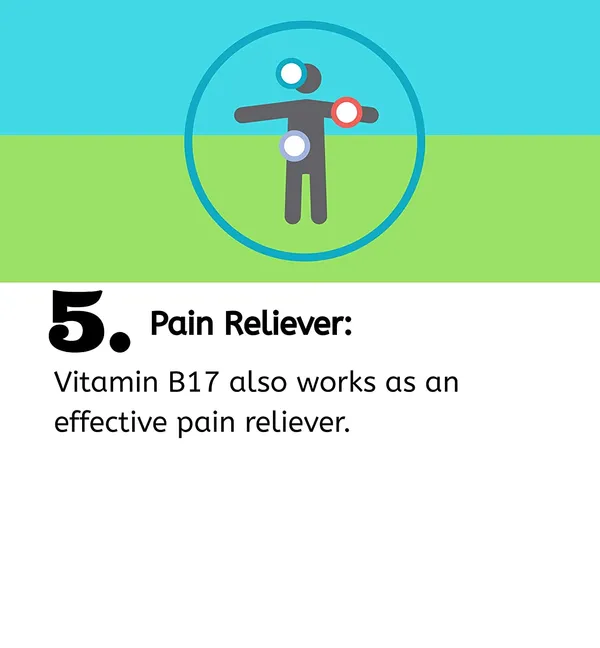 Vitamin_B17_|_Herbal_Extract_Formula_|_Natural_Wellness_&_Immunity_Support_|_Cancer_Care