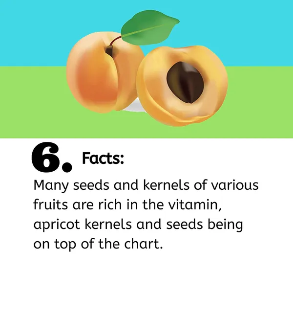 Vitamin_B17_|_Herbal_Extract_Formula_|_Natural_Wellness_&_Immunity_Support_|_Cancer_Care