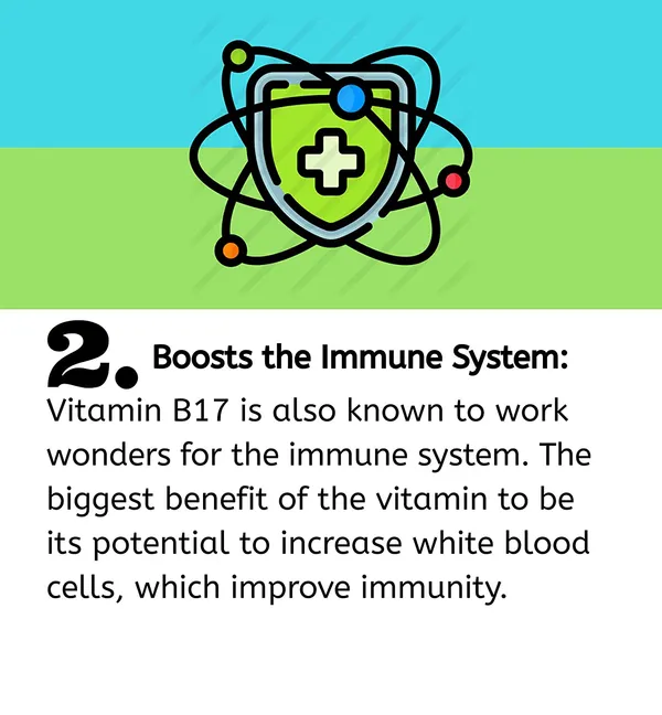 Vitamin_B17_|_Herbal_Extract_Formula_|_Natural_Wellness_&_Immunity_Support_|_Cancer_Care