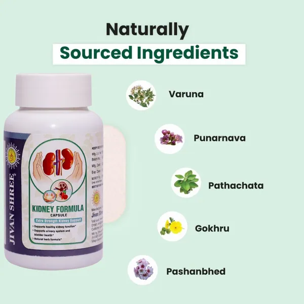 Kidney_Formula_Veg_Tablets_–_Natural_Ayurvedic_Support_for_Healthy_Kidneys,_Detox_&_Urinary_Care_(With_Varun,_Gokshura,_Punarnava,_Giloy_&_More)