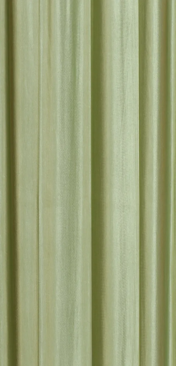 Light_Green_Polyester_Eyelet_Solid_Plain_curtains_Pack_of_2