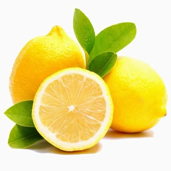 Seedless_Lemon_Hybrid_Air_Learning_Fruit_Plant