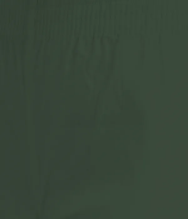 Forest_Green_Rayon_Lycra_Pencil_Pant_For_Women