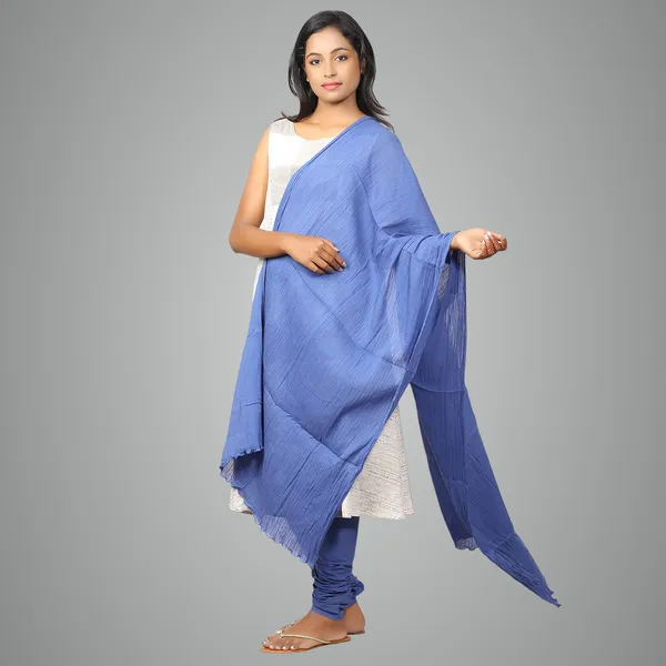 Plum_Blue_Women_Cotton_Churidar/Gathering_Pant_With_Dupatta_Set_-Solid_Ethnic_Sleek_Ankle_-Regular_Fit-Office_|_Outdoor_Wear