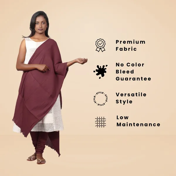 Salwar_Dupatta_Set-Rosewood_Meroon