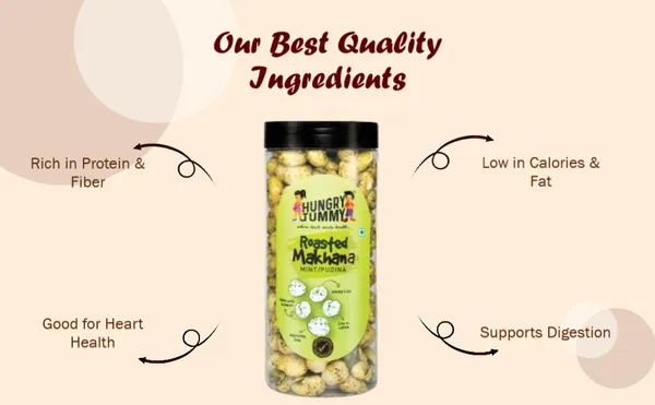 Premium_Pack_Of_2_Mint_Makhana_(100G_*_2)