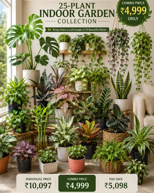 25-Plant_Indoor_Garden_Collection