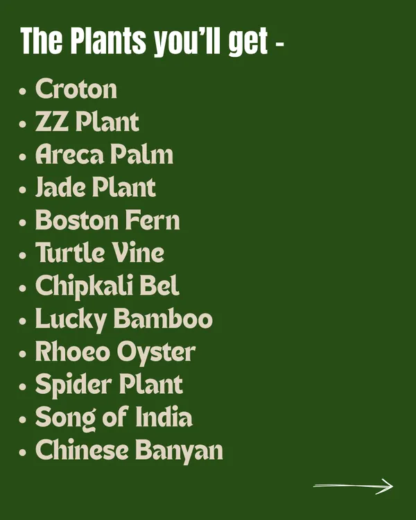 25-Plant_Indoor_Garden_Collection