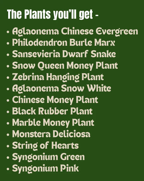 25-Plant_Indoor_Garden_Collection