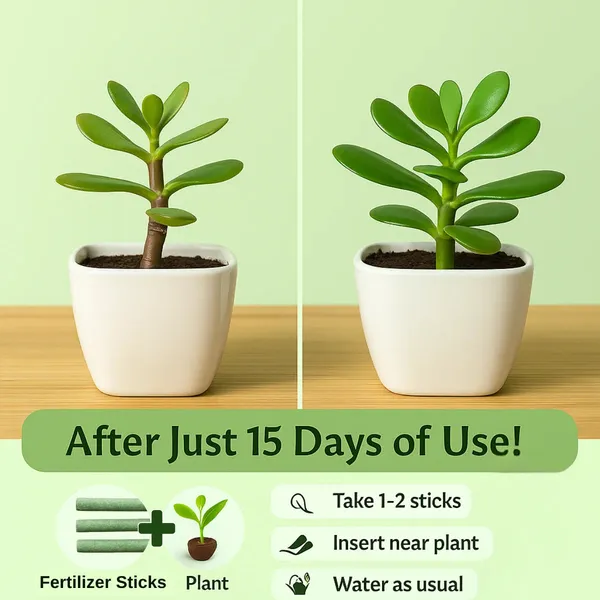 50-Stick_Organic_Plant_|_Grafted_Boost_Pack_Natural_Growth_Promoter_|_Enhances_Root_&_Leaf_Health_|_Safe_for_All_Indoor_&_Outdoor_Plants.