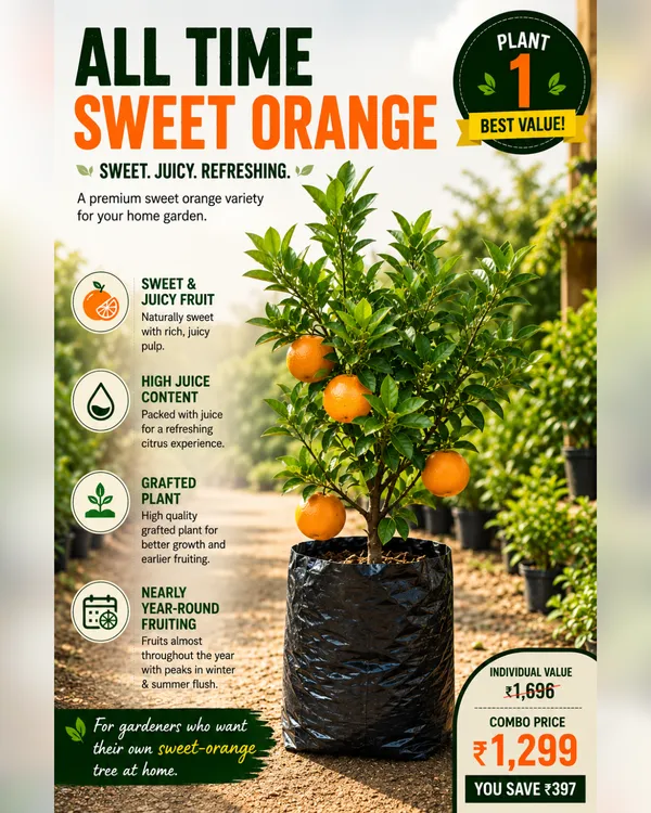 Citrus_Garden_Collection