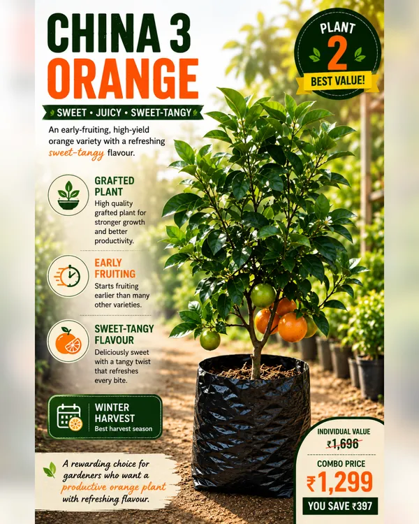 Citrus_Garden_Collection