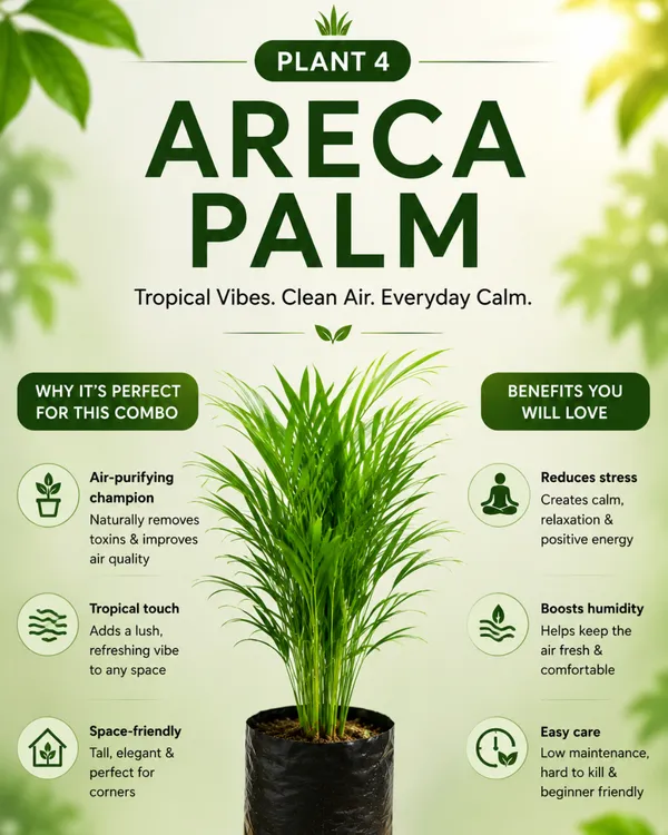 Green_Home_Collection