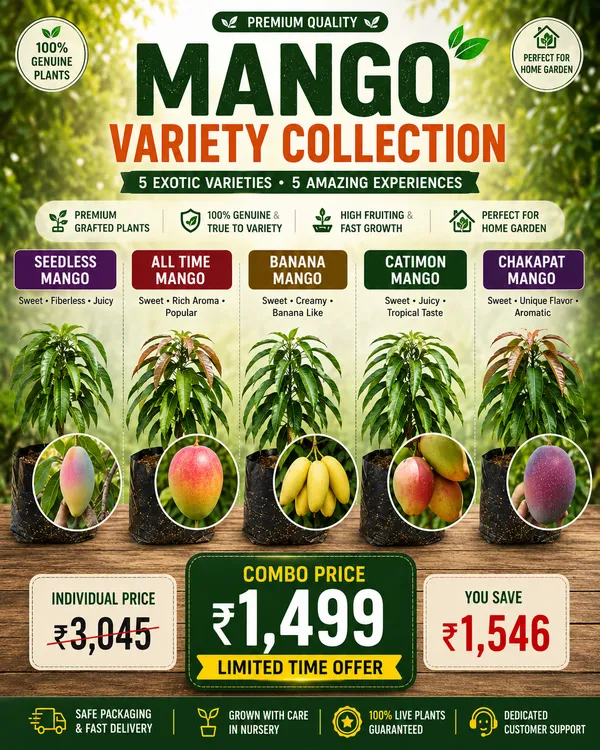 Mango_Variety_Collection