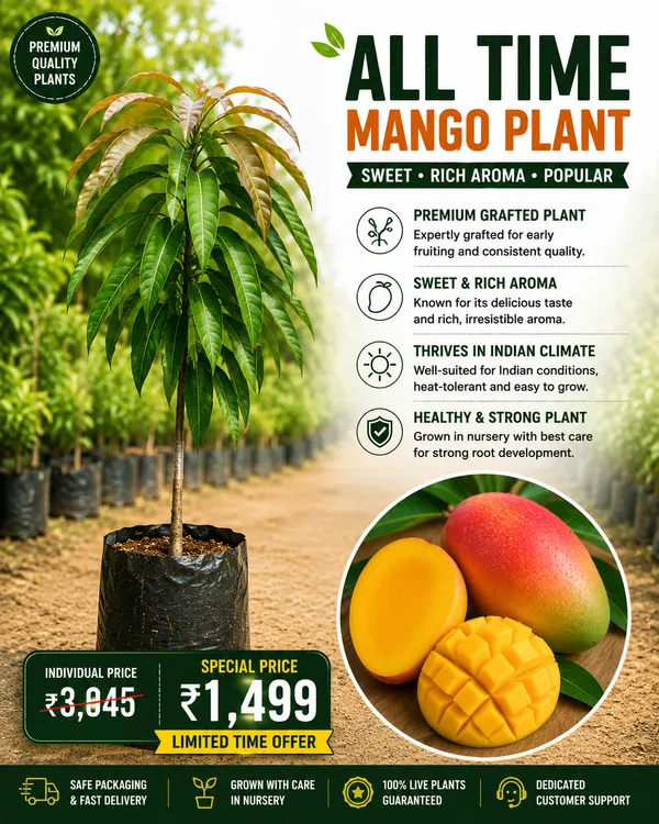 Mango_Variety_Collection