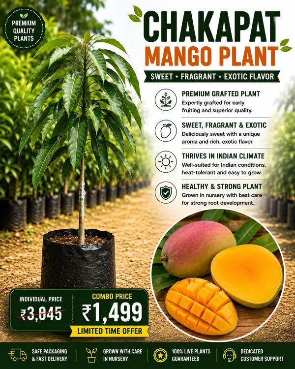 Mango_Variety_Collection