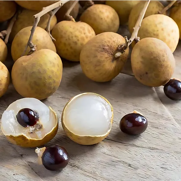 Ruby_Longan_Plant_|_Grafted_4_Times