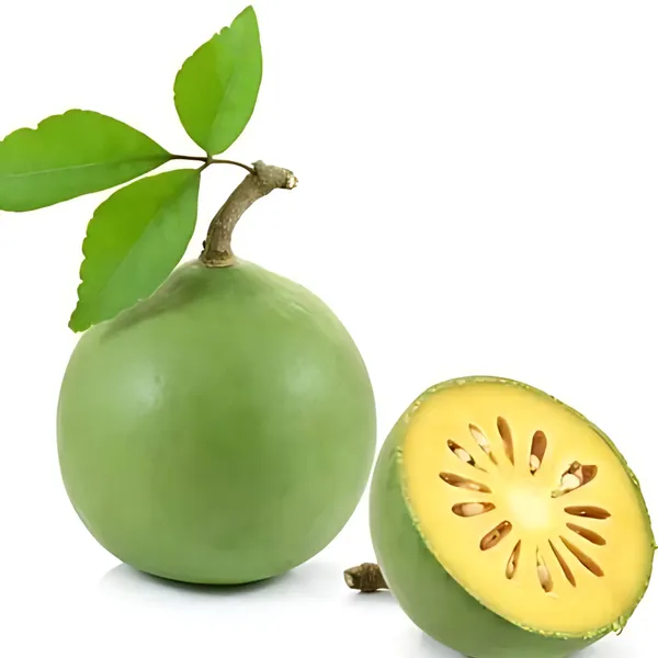 Thai_Wood_Apple_Plant_|_Grafted_Exotic_High_Yield_Variety_|_Sweet_Aromatic_Fruits_|_Early_Fruiting_|_Healthy_Live_Plant_Guaranteed