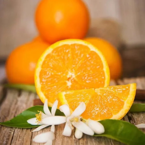 Sikkim_Mosambi_(Sweet_Lemon)_Plant_|_Grafted_High_Yield_Juicy_Variety_|_Sweet_Aromatic_Fruits_|_Early_Fruiting_|_Healthy_Live_Plant_Guaranteed
