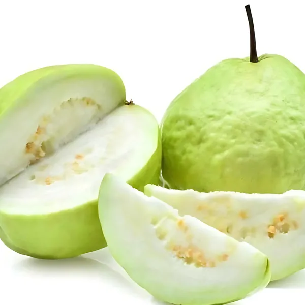 Thai_7_Guava_Plant_|_Air_Layered_High_Yield_Variety_|_Large_Sweet_Fruits_|_Early_Fruiting_|_Healthy_Live_Plant_Guaranteed
